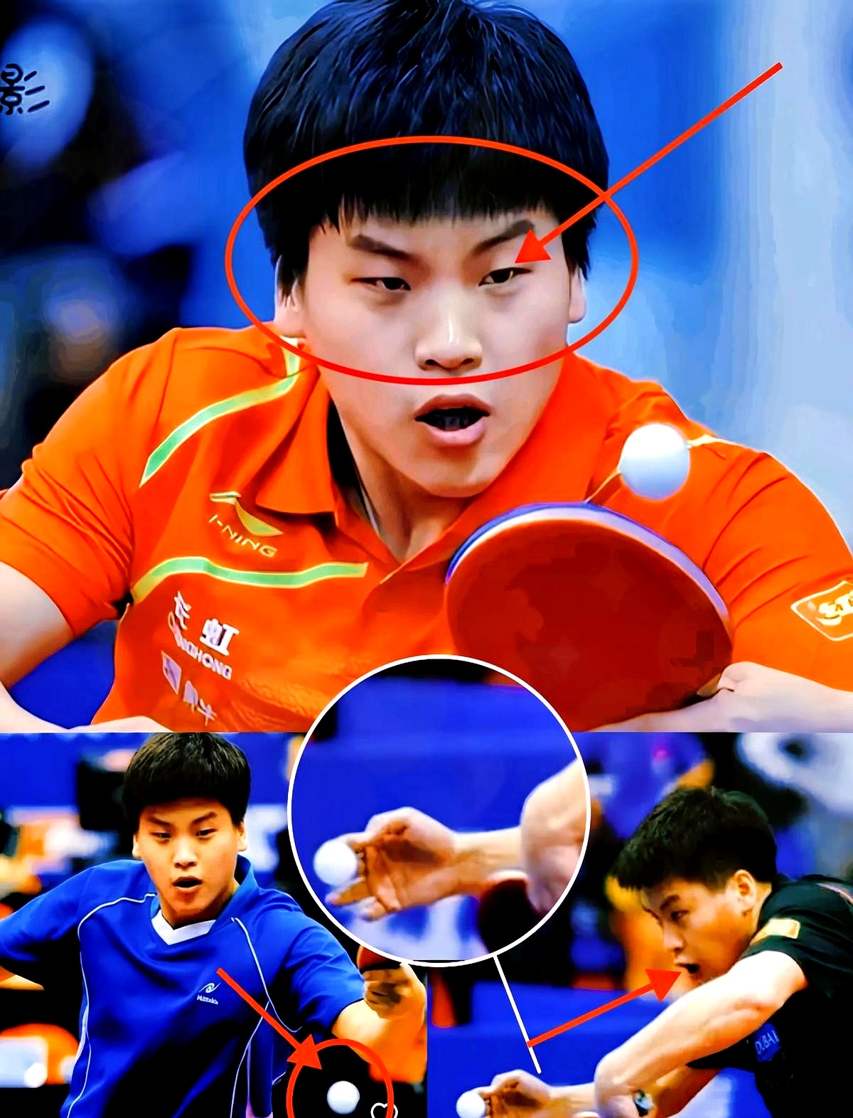开云体育app-包含韩国乒乓球队爆冷比利时乒乓球队，张继科绝境逆转的词条