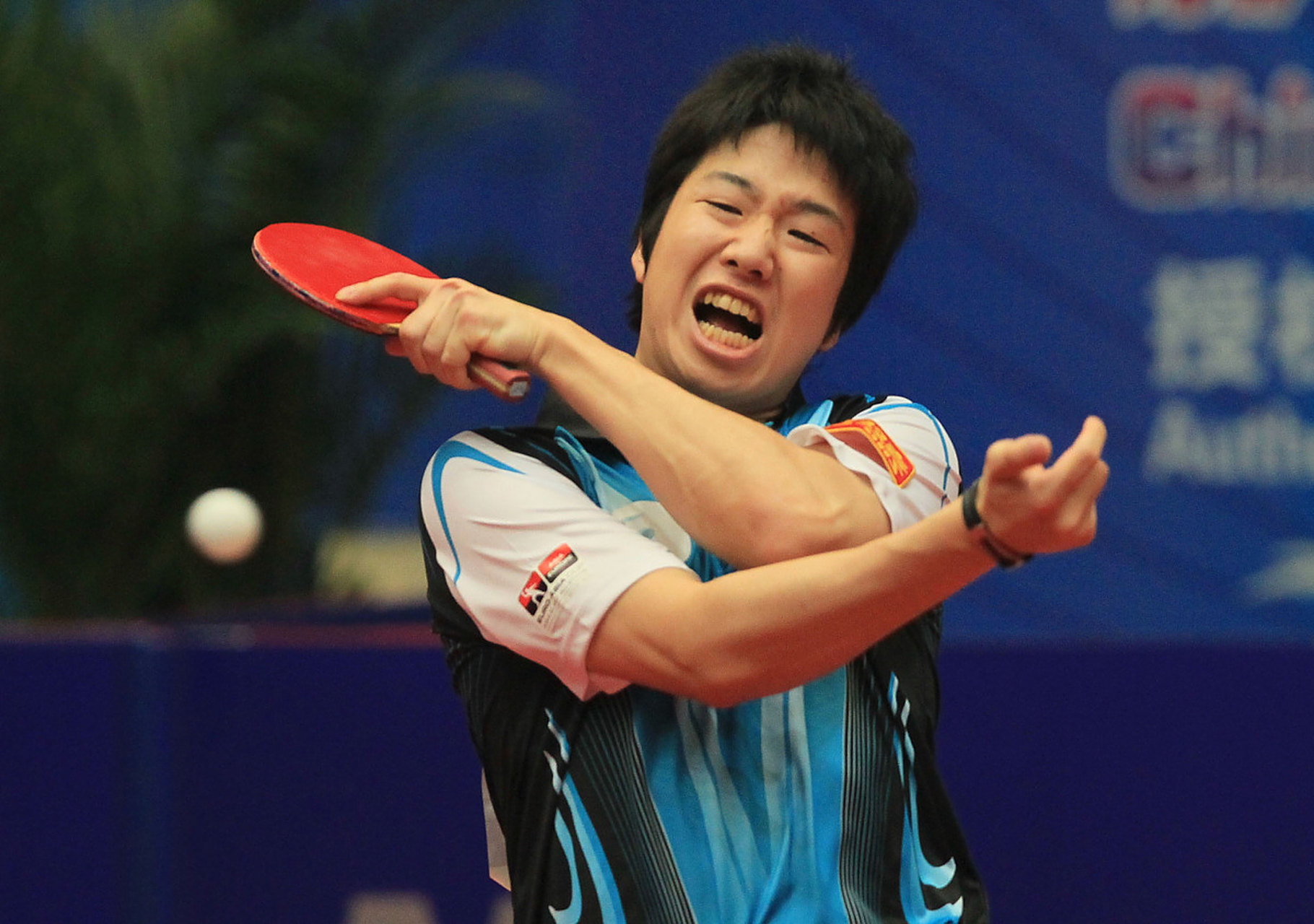 开云体育在线-包含中国乒乓球队力克日本乒乓球队，水谷隼爆发神勇的词条