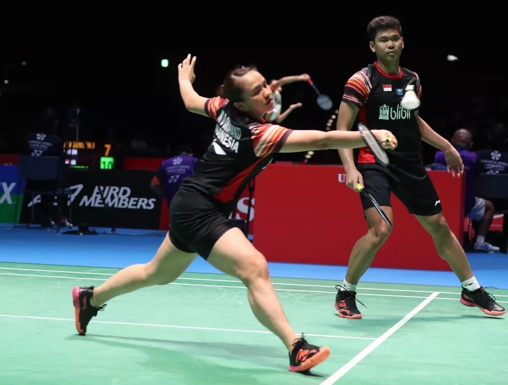 丹麦队轻取印度队，黄鸭组合点燃赛场的简单介绍