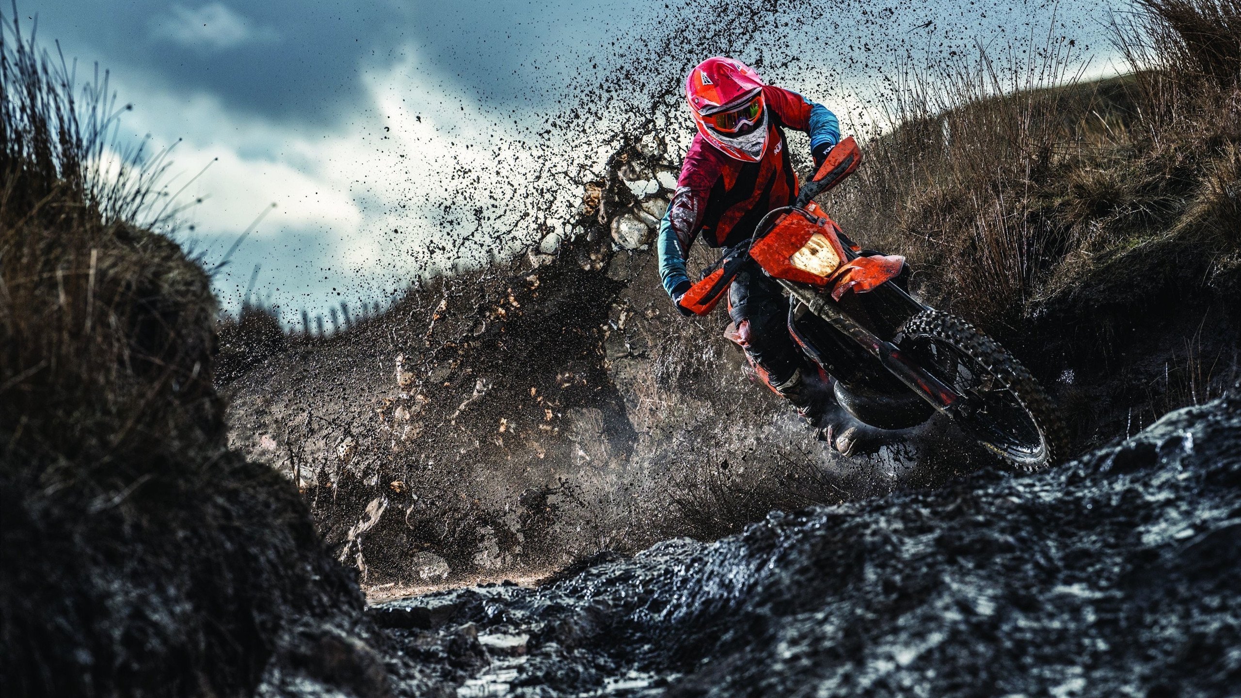 开云体育-塔图姆比赛走势一手掌控，深圳队横扫奇才